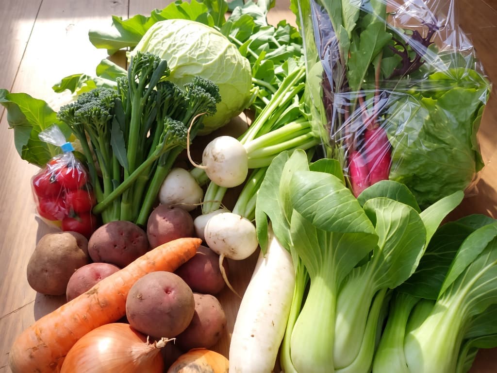 旬のトロトロ白ナスなどなど奥久慈新鮮野菜おまかせ6~8種類セット
